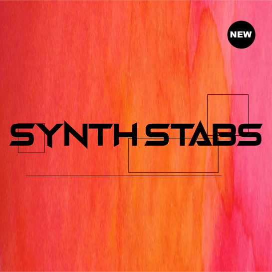Synth Samples Synthstabs Volume 2 SYNTHKING